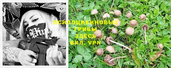 трава Абинск