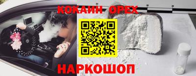 гидропоника Камышлов