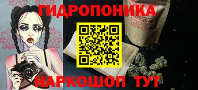 спиды Канаш