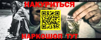 гидропоника Камышлов
