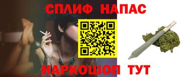 спиды Канаш