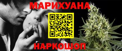 гидропоника Камышлов