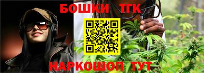 гидропоника Камышлов